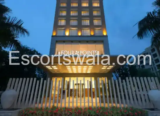 Pullman New Delhi Aerocity (close access)